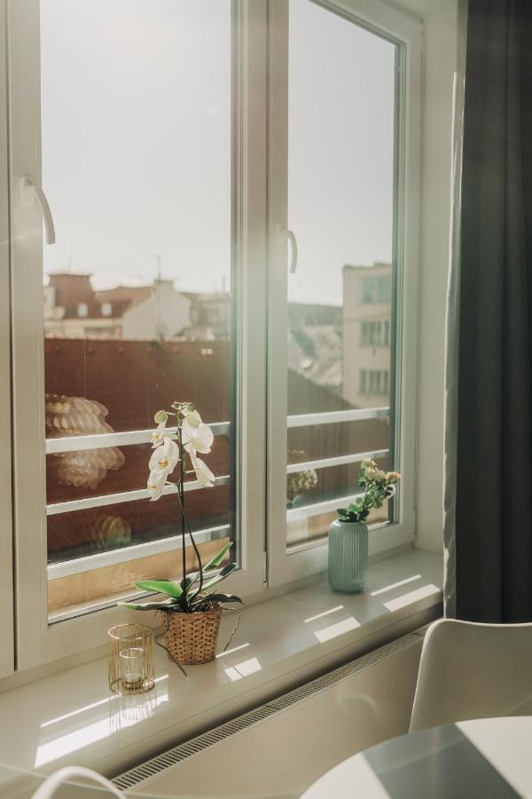 New Equipped Apartment In The City Center Plzeň Extérieur photo